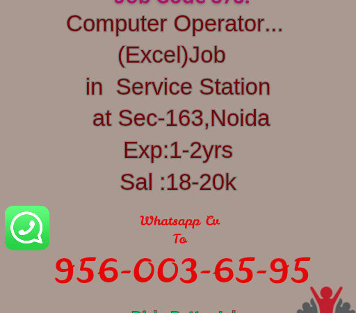 Computer operator job