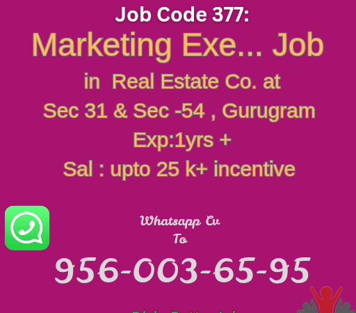 Marketing Exe job