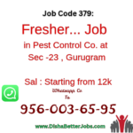 Pest Control Company
