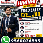 Automobile manufacturing Company