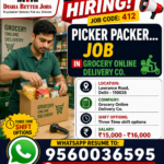 Online Grocery Delivery Store