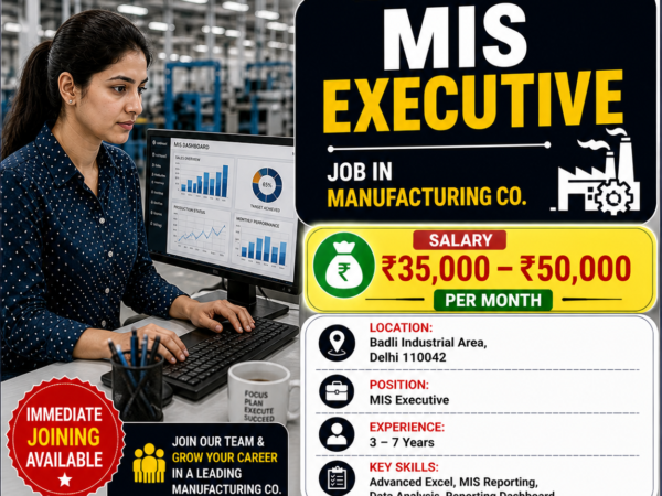 MIS Executive Job
