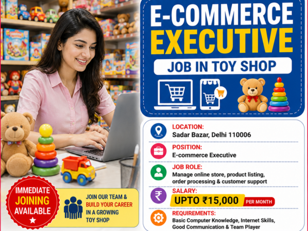 E-commerce executive Job